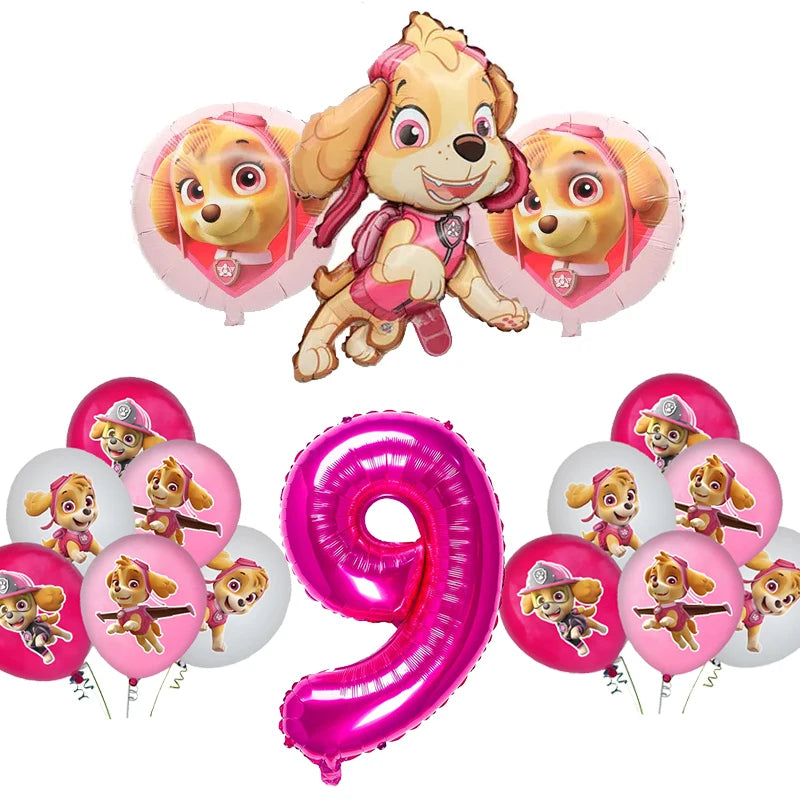 Paw Patrol Skye Geburtstag Dekoration Rosa