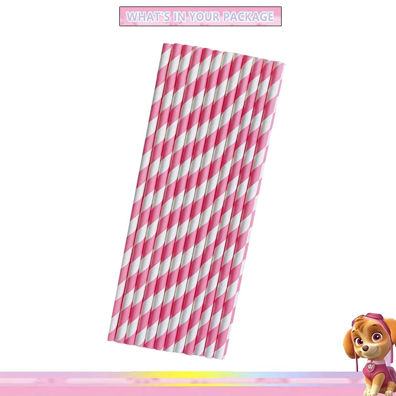 Paw Patrol Skye Geburtstag Dekoration Rosa